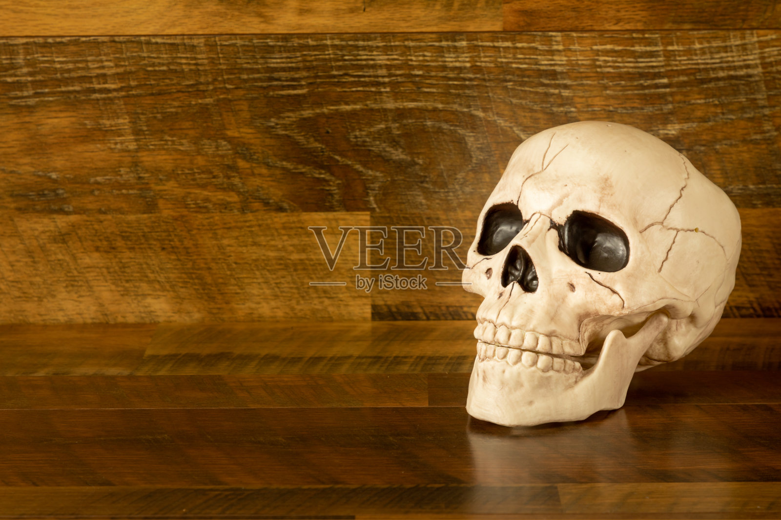人工头骨在木制背景与复制空间照片摄影图片