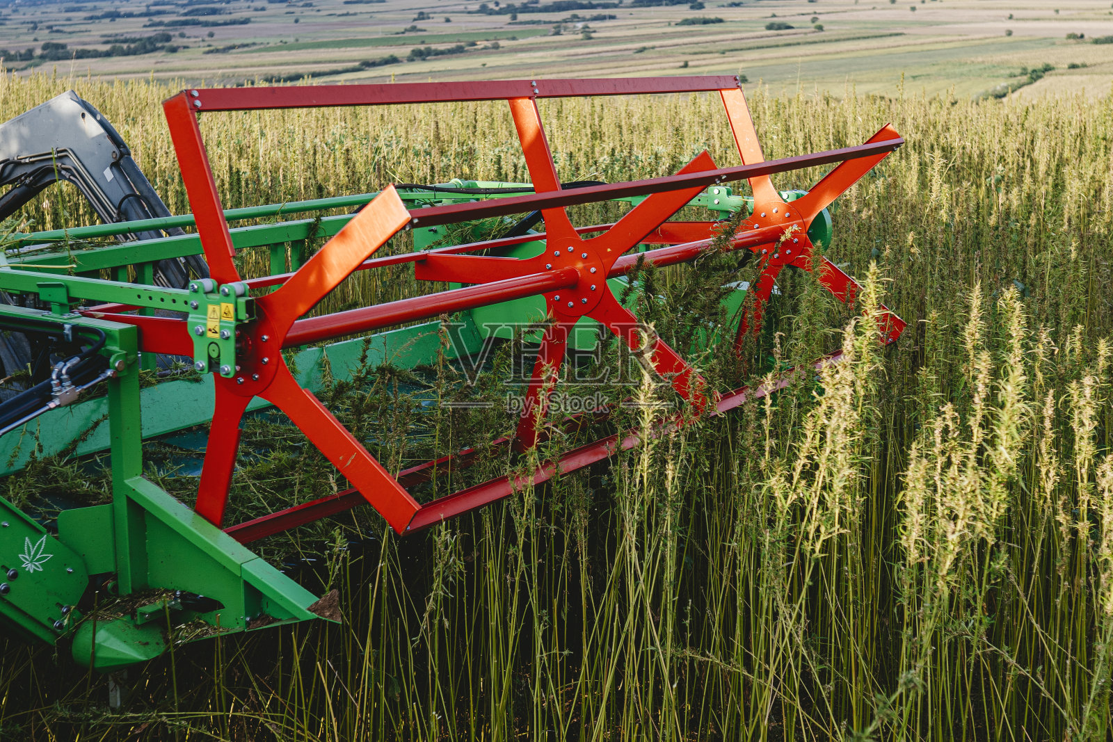 医用大麻田间收割机照片摄影图片