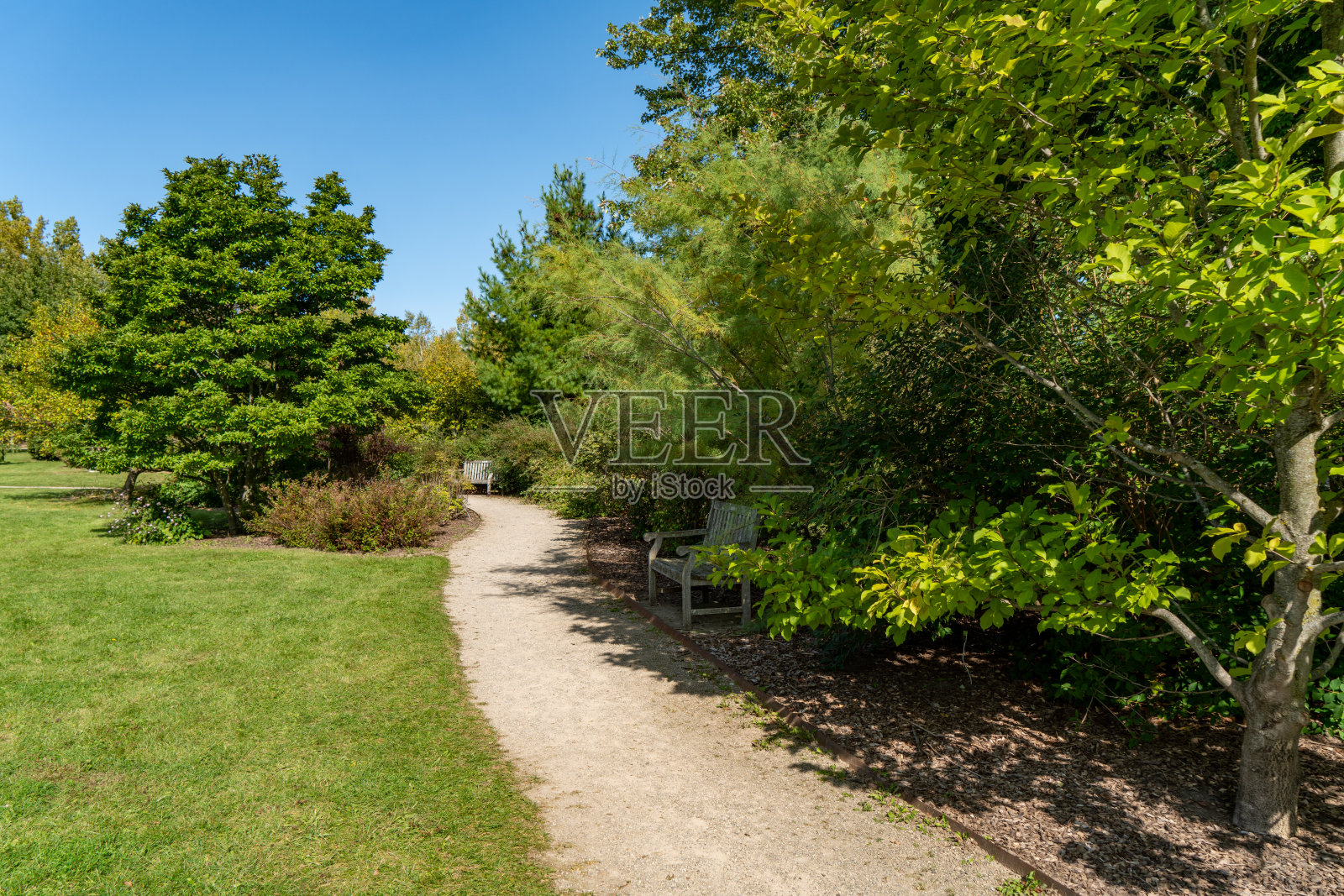 加拿大圭尔夫植物园照片摄影图片