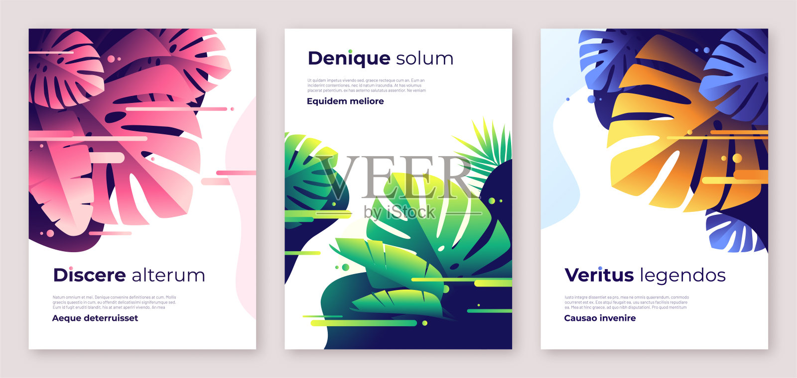 彩色的热带矢量背景，小册子模板，封面设计，彩色海报设计模板素材