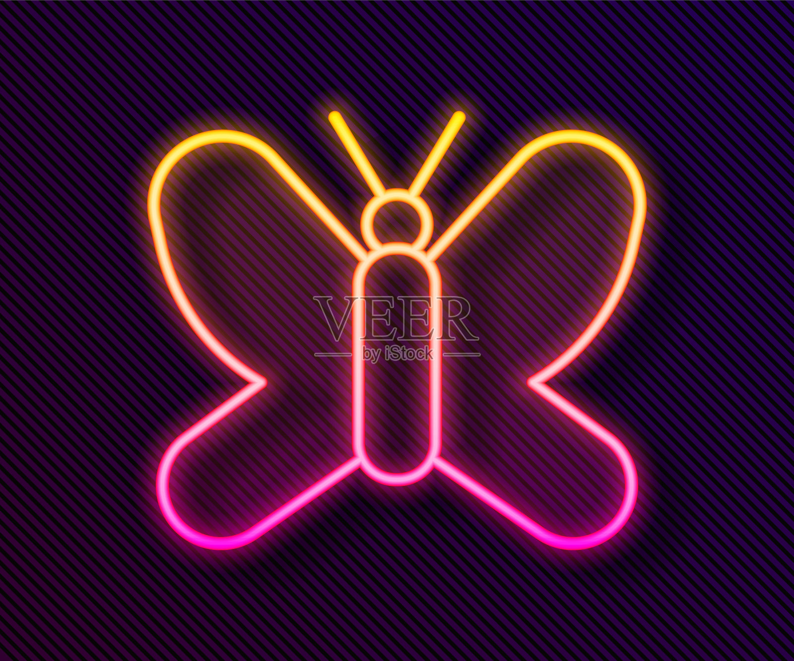 发光的霓虹线蝴蝶图标孤立在黑色背景。向量插画图片素材