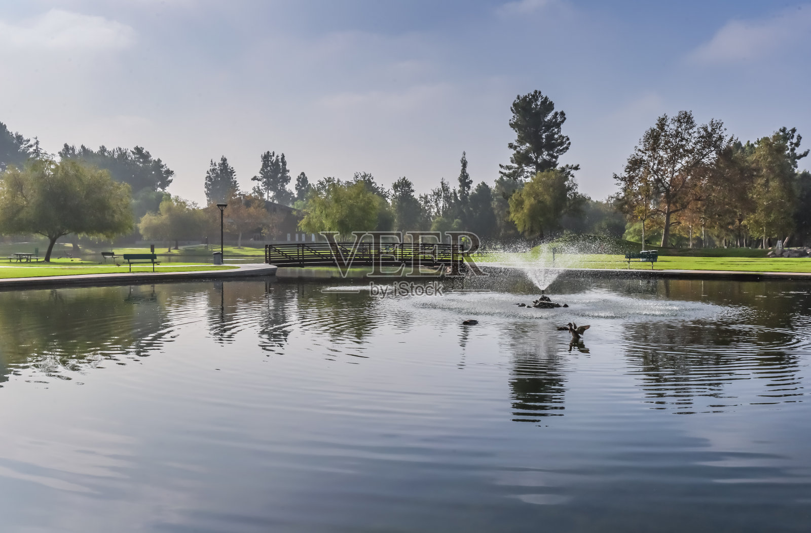 早上公园。照片摄影图片