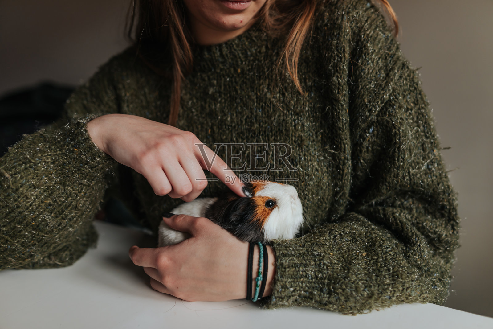 女孩在抚摸她的豚鼠照片摄影图片