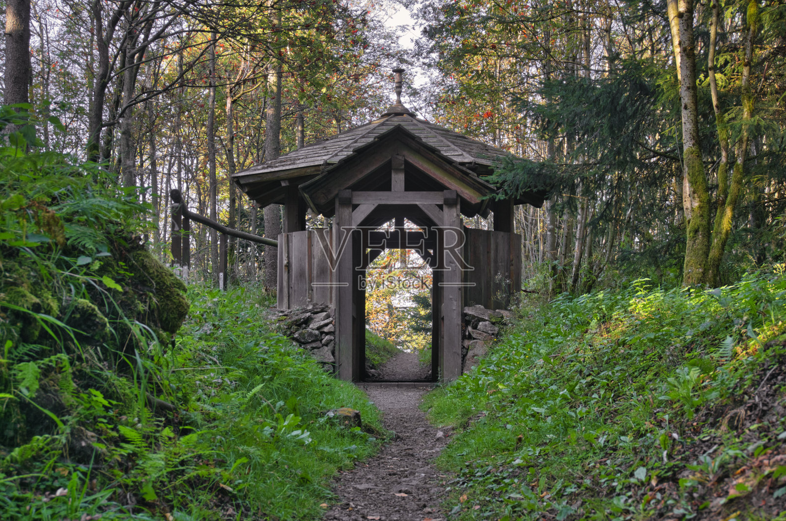 猎人回家照片摄影图片