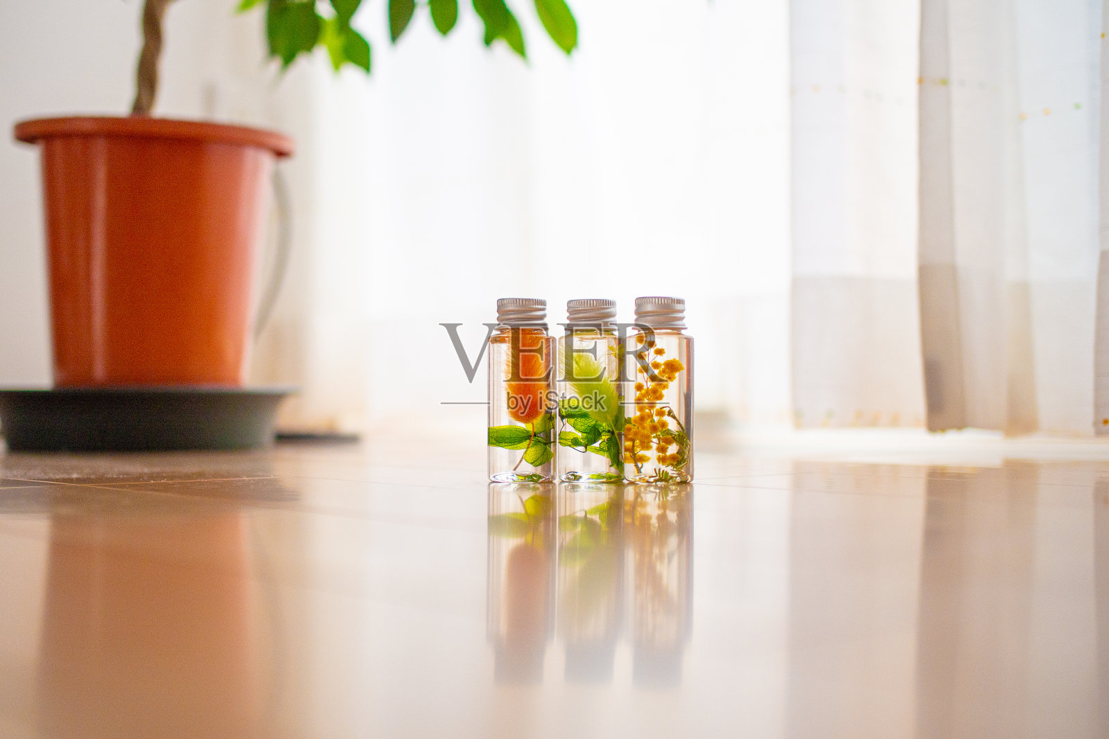 由一位日本妇女手工制作的彩色植物标本室照片摄影图片