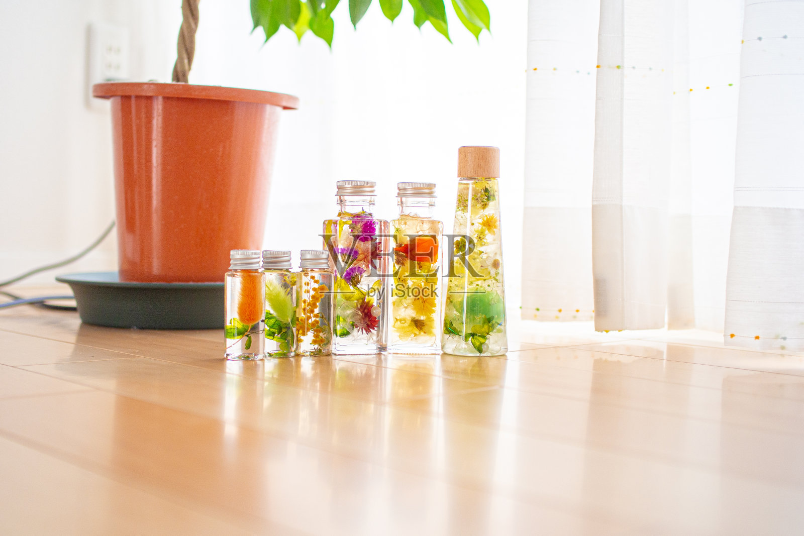 由一位日本妇女手工制作的彩色植物标本室照片摄影图片