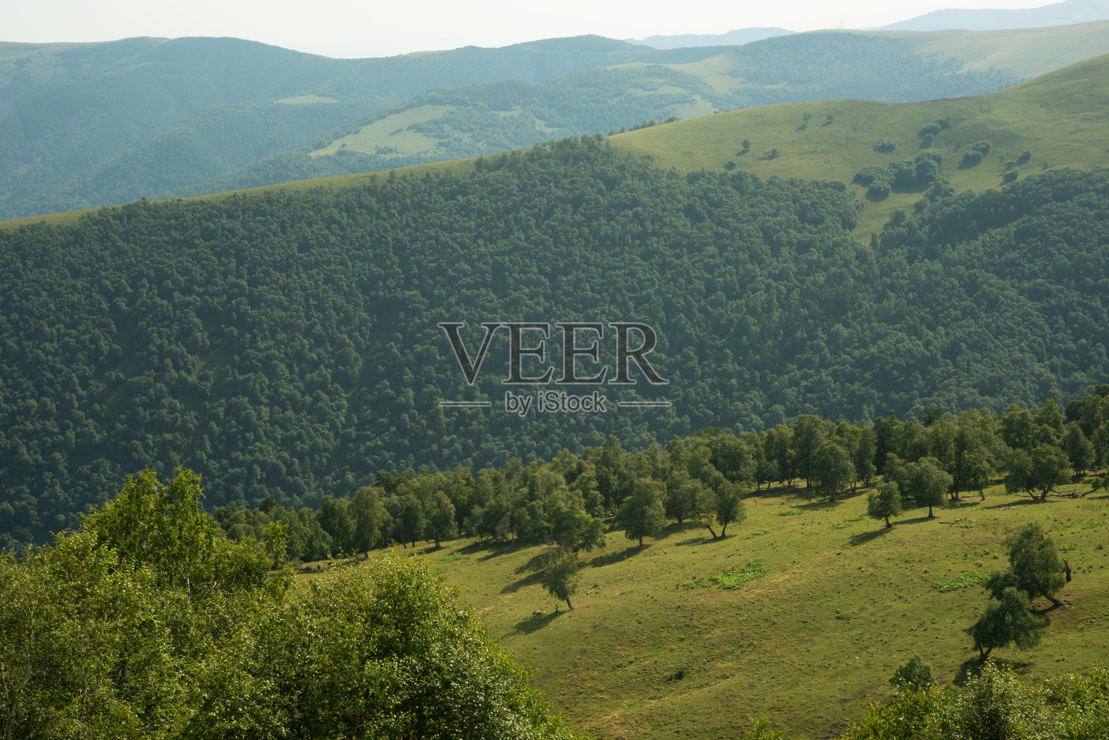 从山上看山谷。照片摄影图片