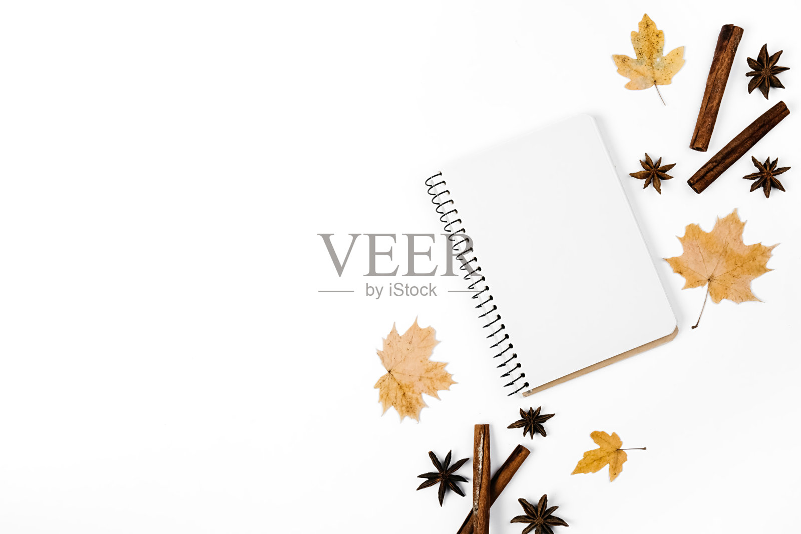 创意秋平平铺头顶视图桂皮、香菜、干枫叶和笔记本在白色背景上复制空间极简风格。秋季模板的女性博客社交媒体照片摄影图片