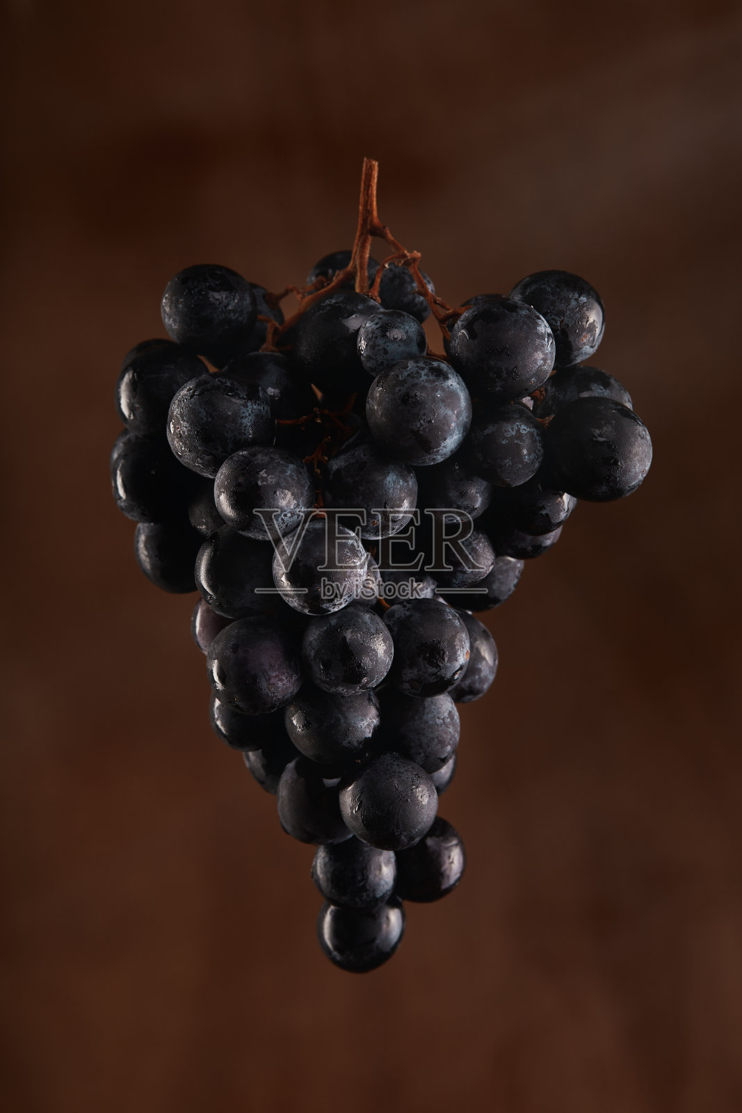 黑葡萄-梅洛葡萄集群在棕色的背景照片摄影图片