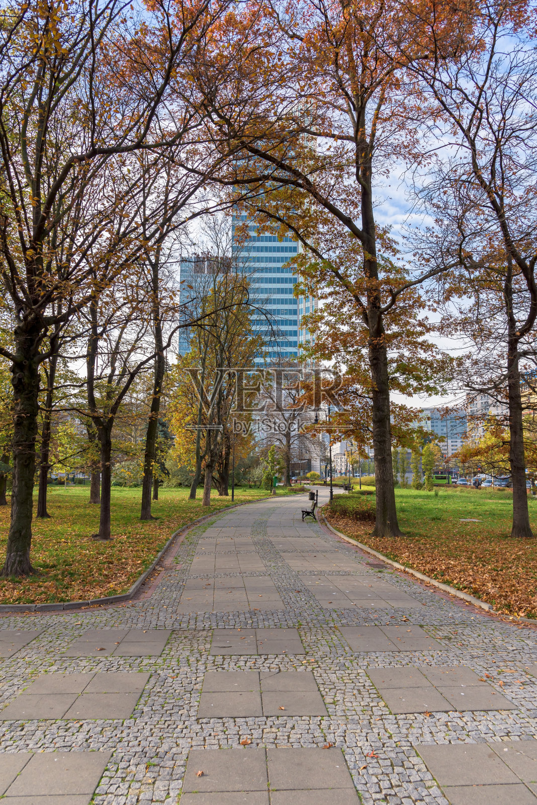 华沙Swietokrzyski公园的秋景照片摄影图片