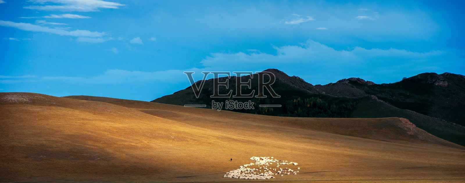 广阔的草原草原，草原山丘，晴空万里照片摄影图片