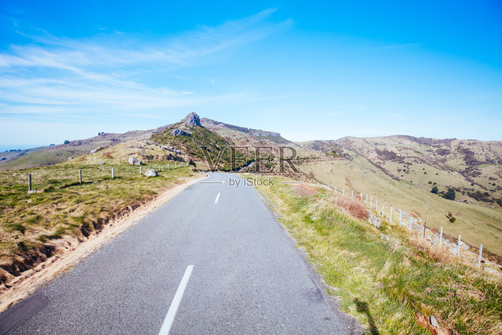 新西兰的班克斯半岛照片摄影图片