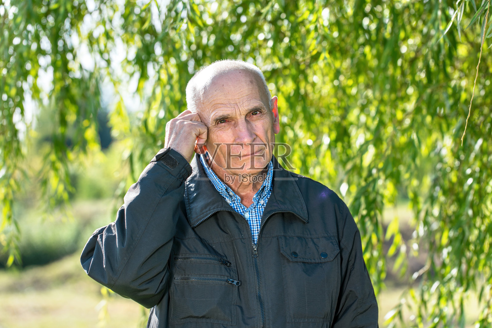老秃头站在城市公园的柳树绿叶下照片摄影图片