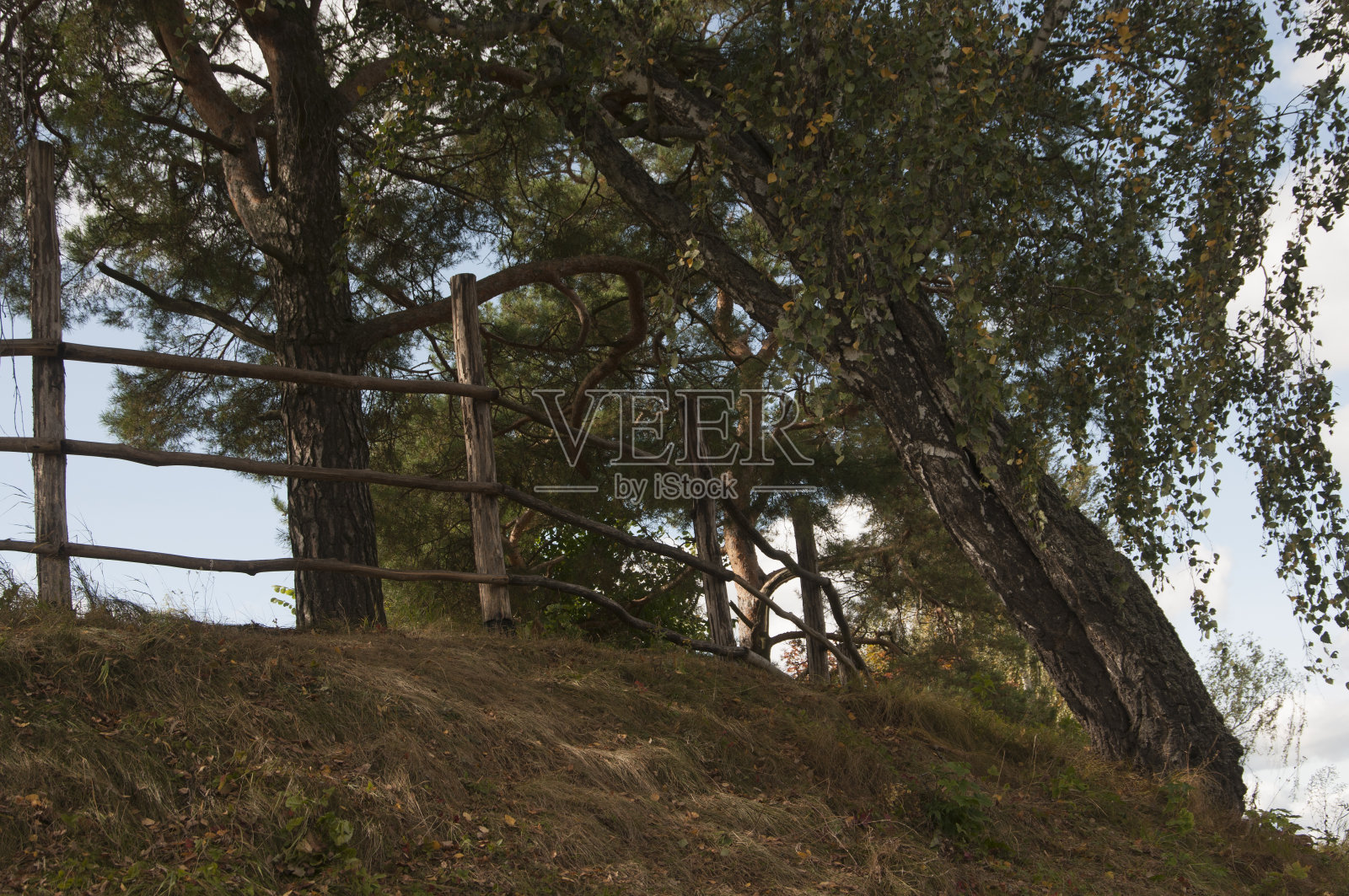 Polenovo公园景观照片摄影图片