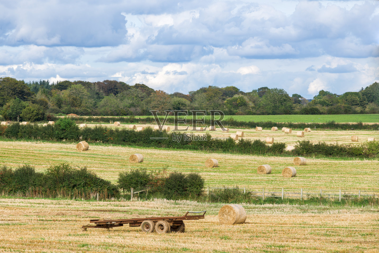 苏格兰伯恩斯地区心脏地带的佩尔顿菲尔德迎来了秋天的第一个迹象照片摄影图片