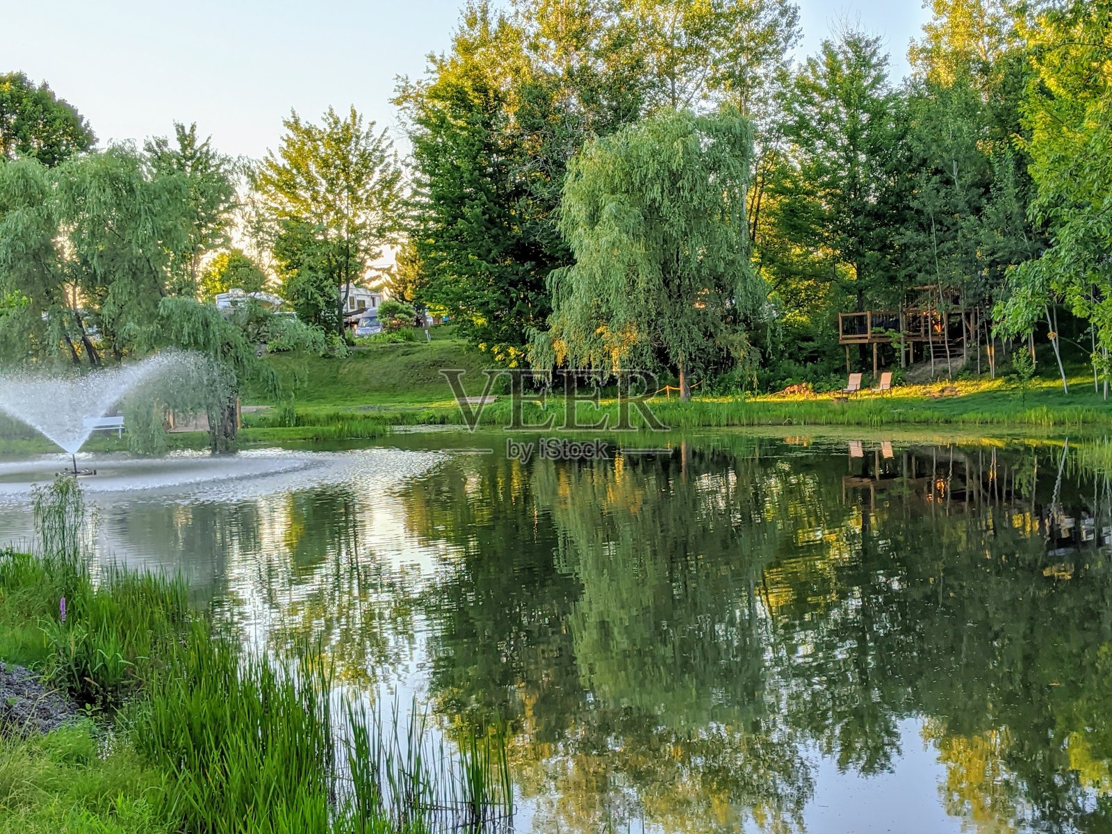 反映照片摄影图片