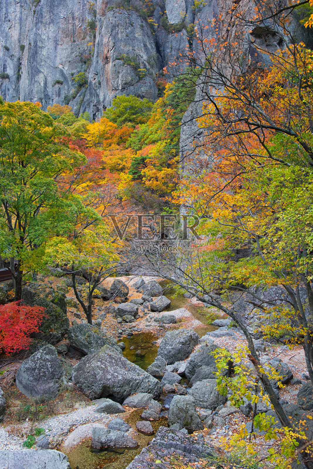 韩国的秋溪照片摄影图片