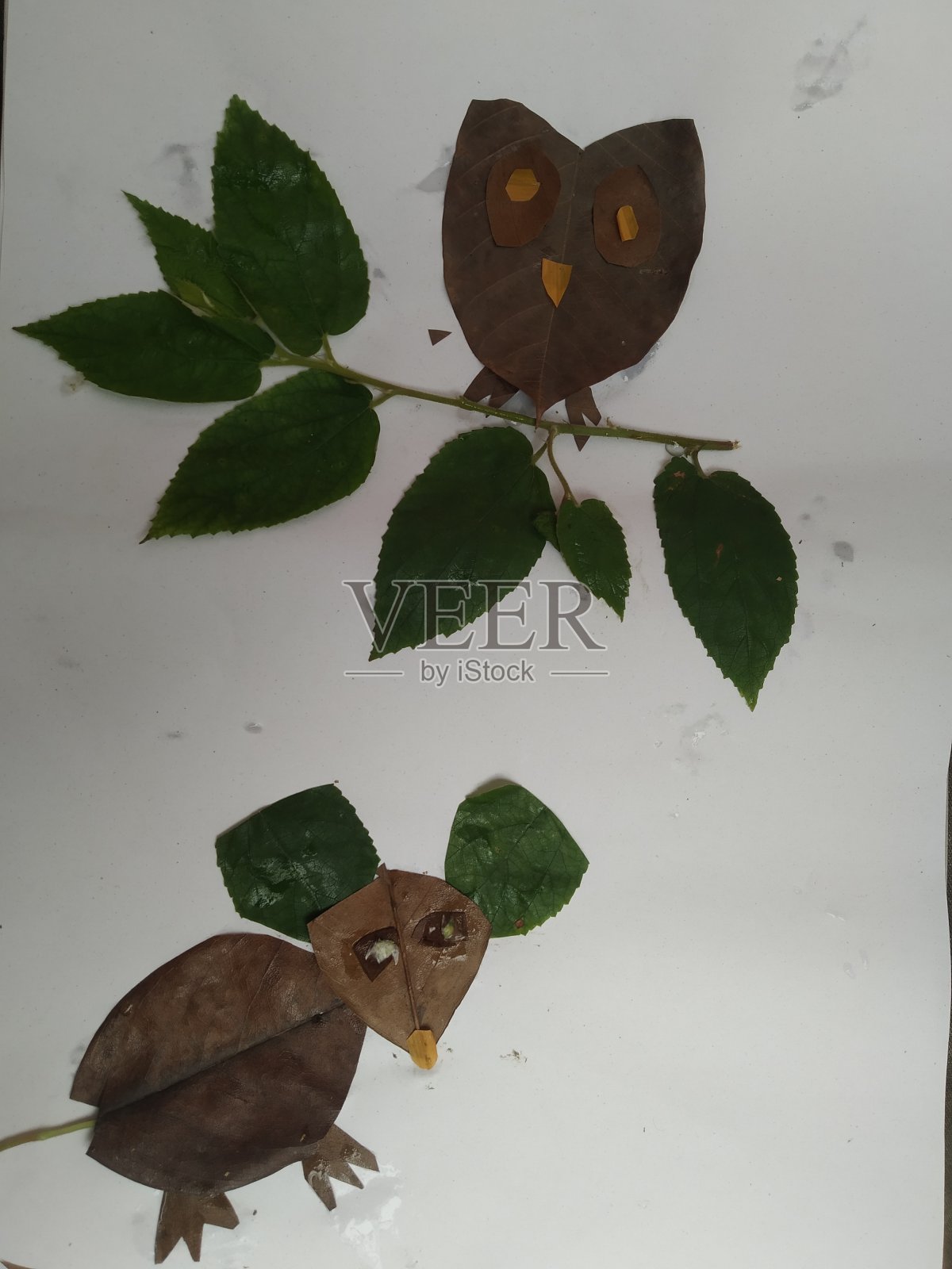 手工艺照片摄影图片