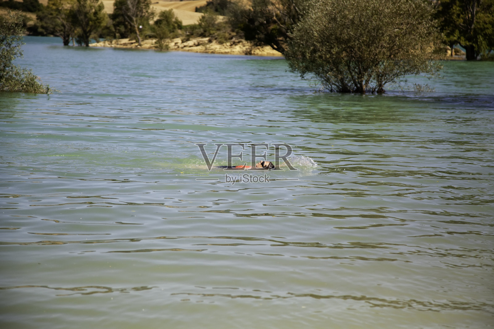 在水库游泳的人照片摄影图片