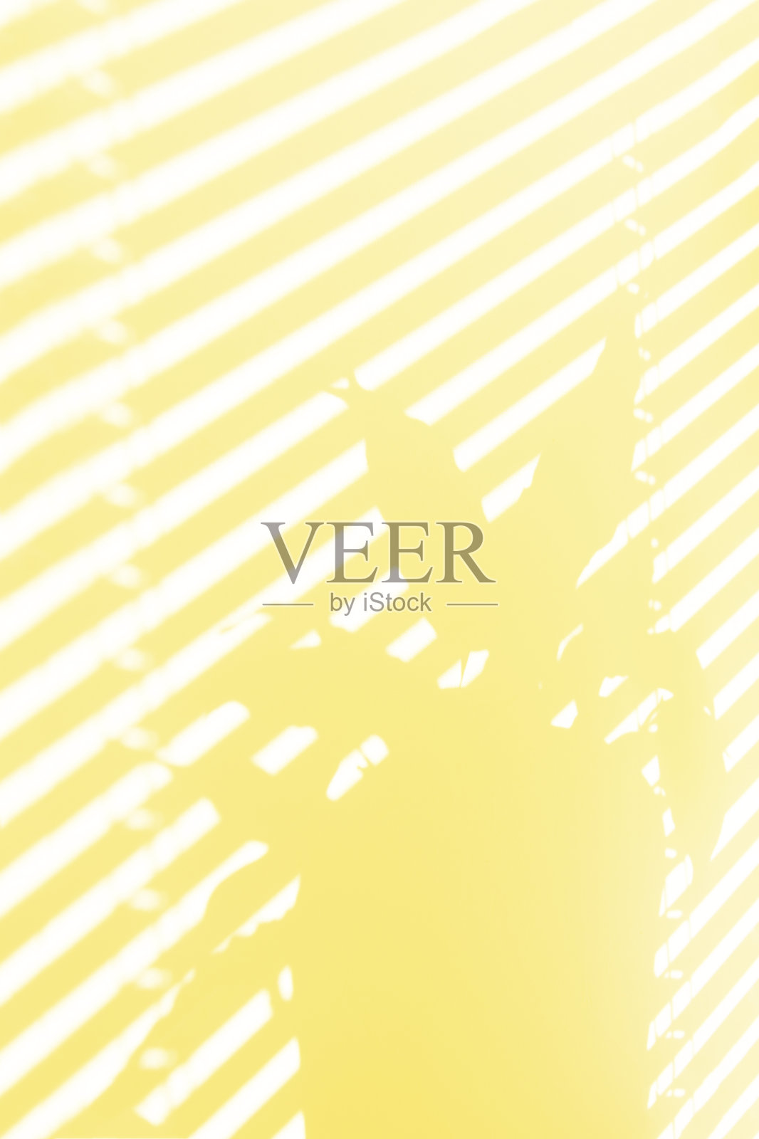 一株室内植物模糊的阴影映在窗户上照片摄影图片