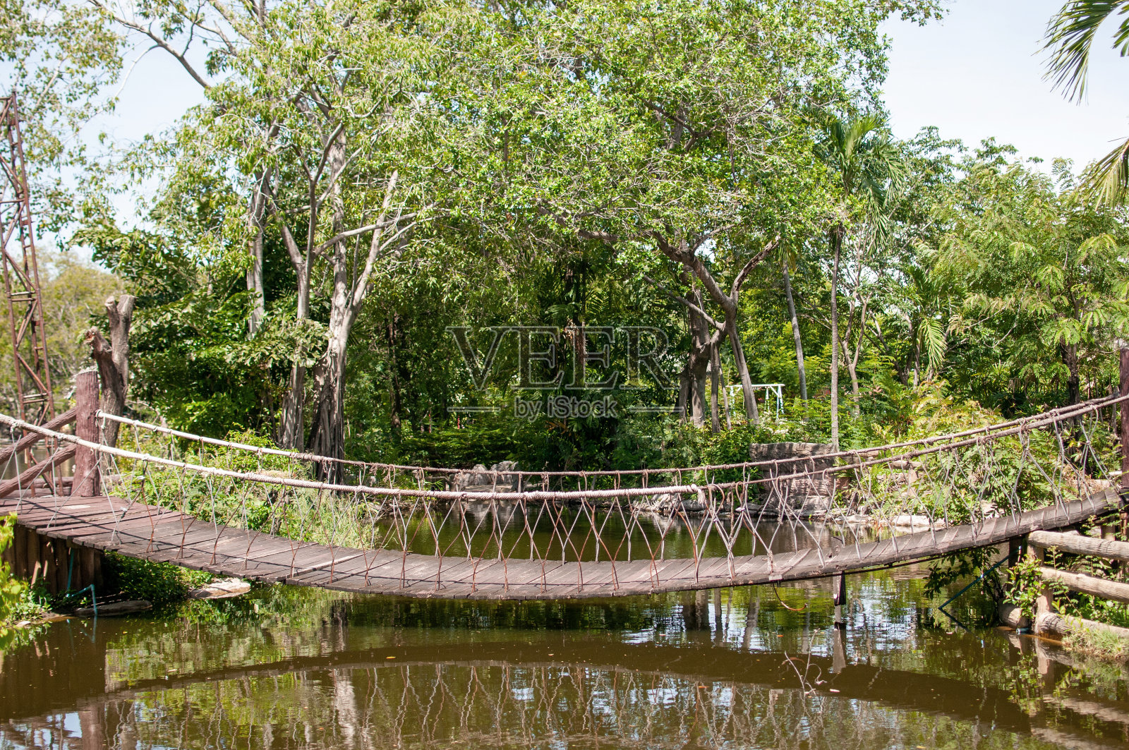 森林中的木索桥。照片摄影图片