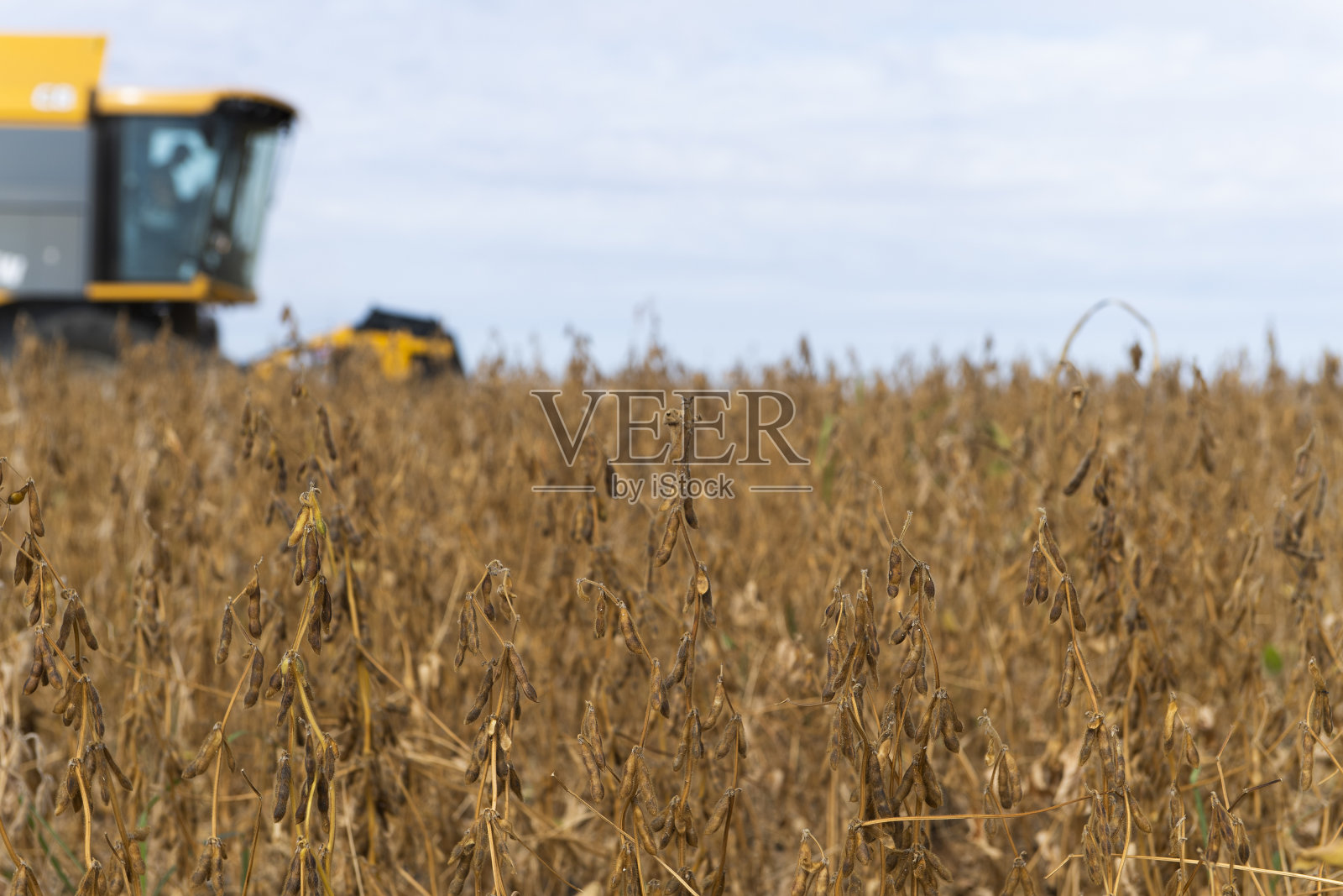 在麦田里工作的联合收割机照片摄影图片