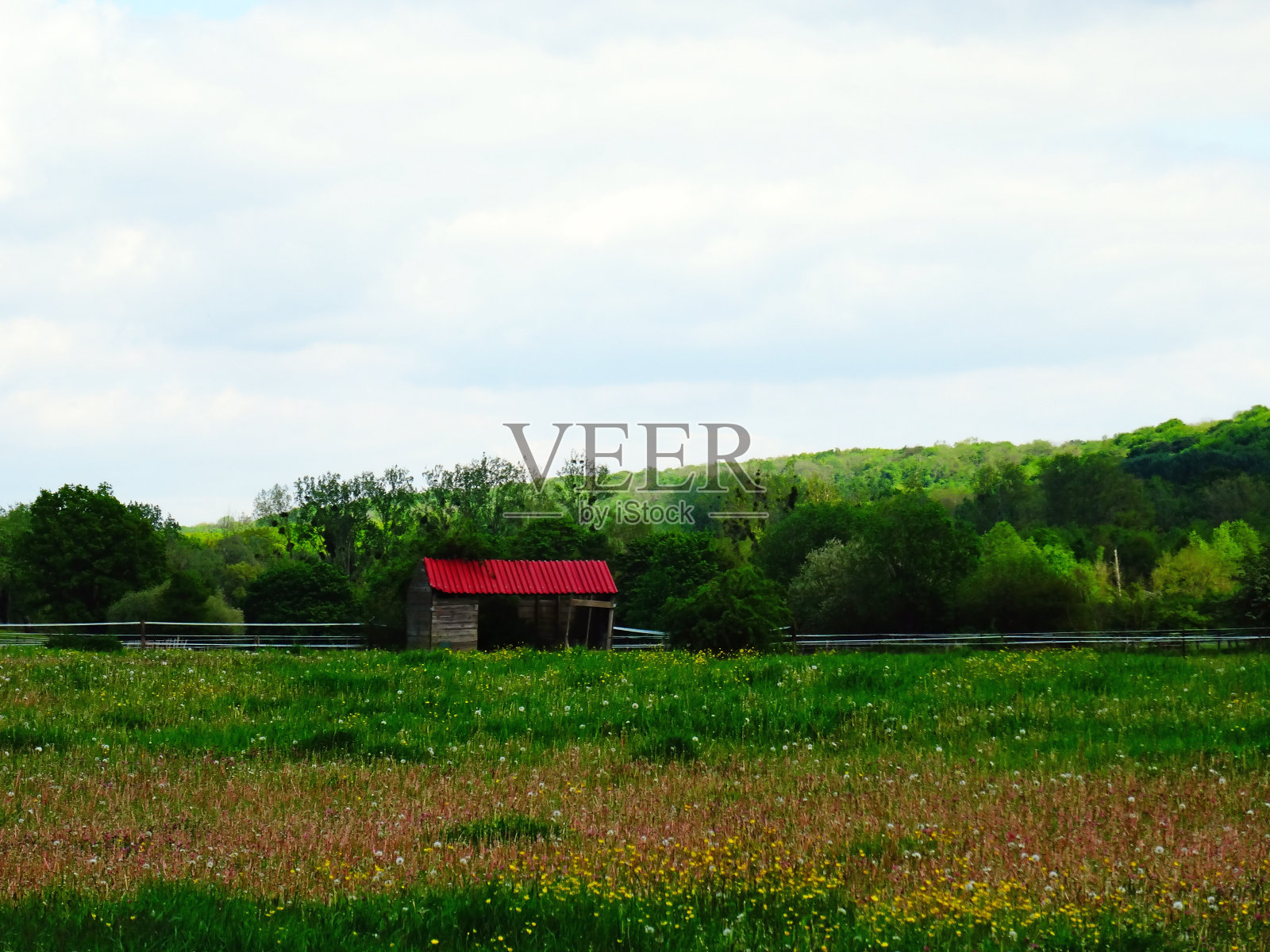 红屋顶的小棚子在绿色的草地上照片摄影图片