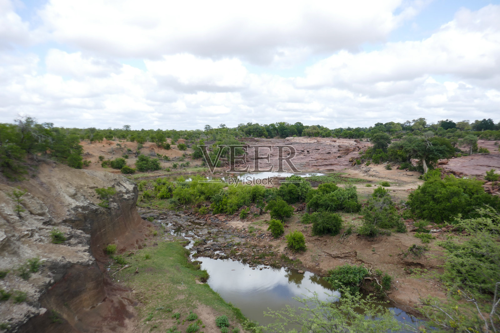 南非克鲁格国家公园照片摄影图片