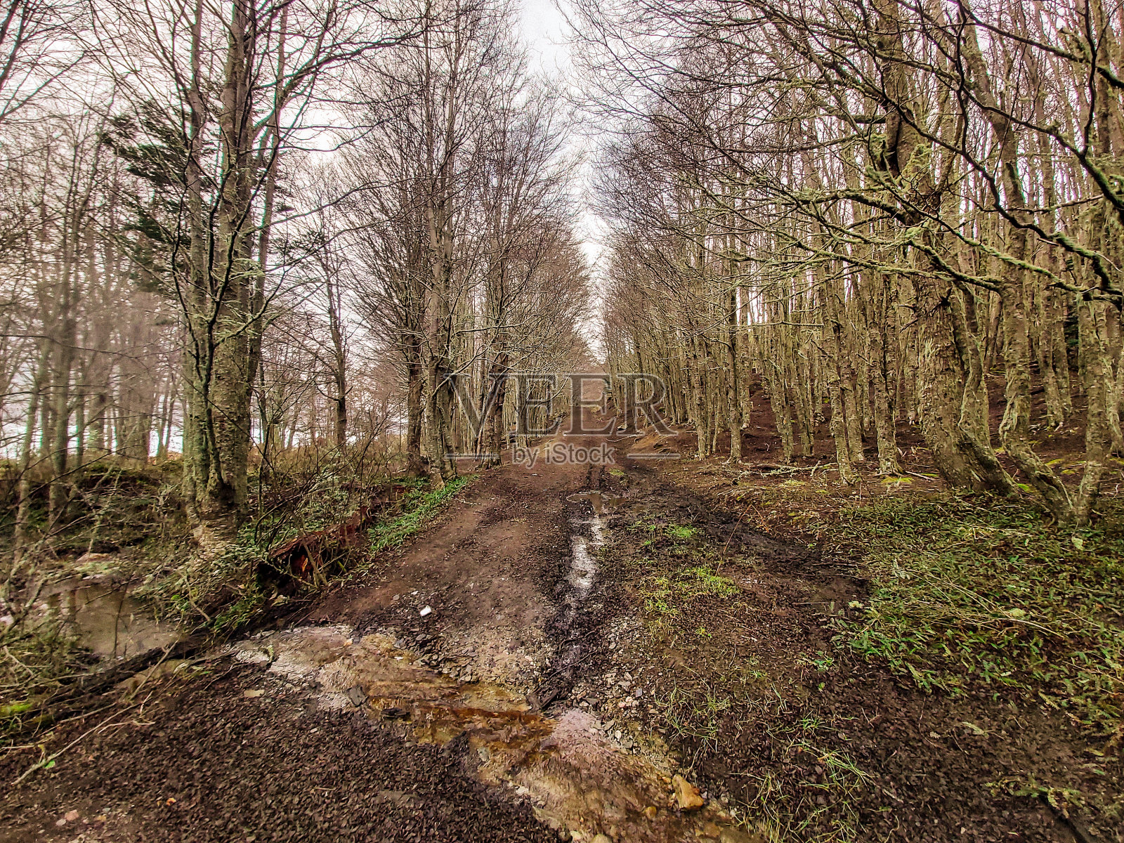 走小路照片摄影图片