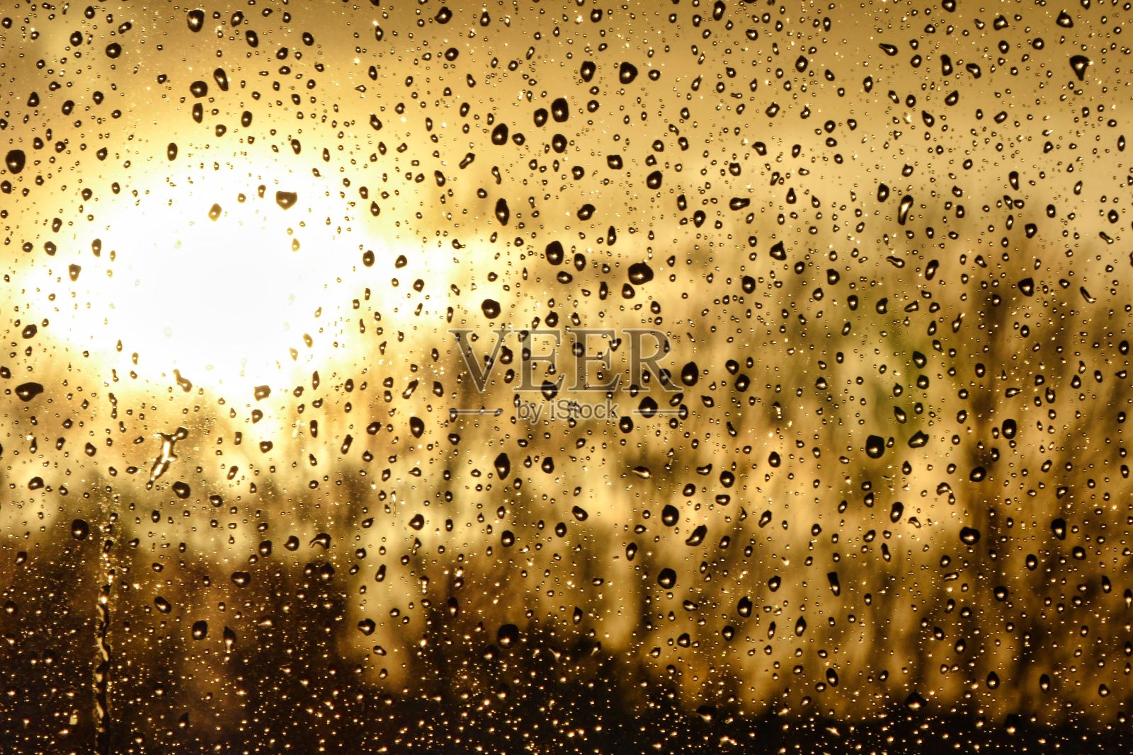 多雨的窗口照片摄影图片