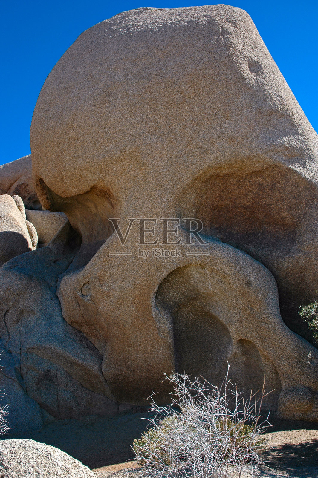 约书亚树国家公园-头骨岩照片摄影图片