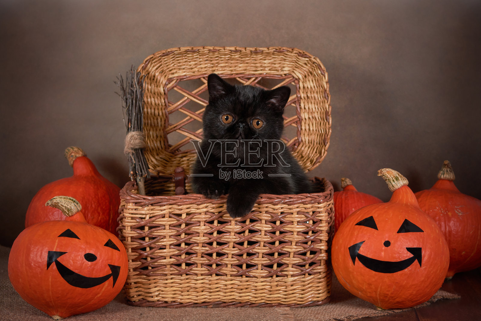 黑猫作为万圣节的象征在柳条篮子和一个橙色的南瓜照片摄影图片