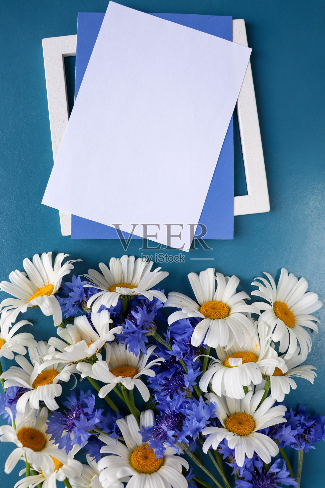 贺卡的设计。一束白色雏菊和放置文字的地方照片摄影图片