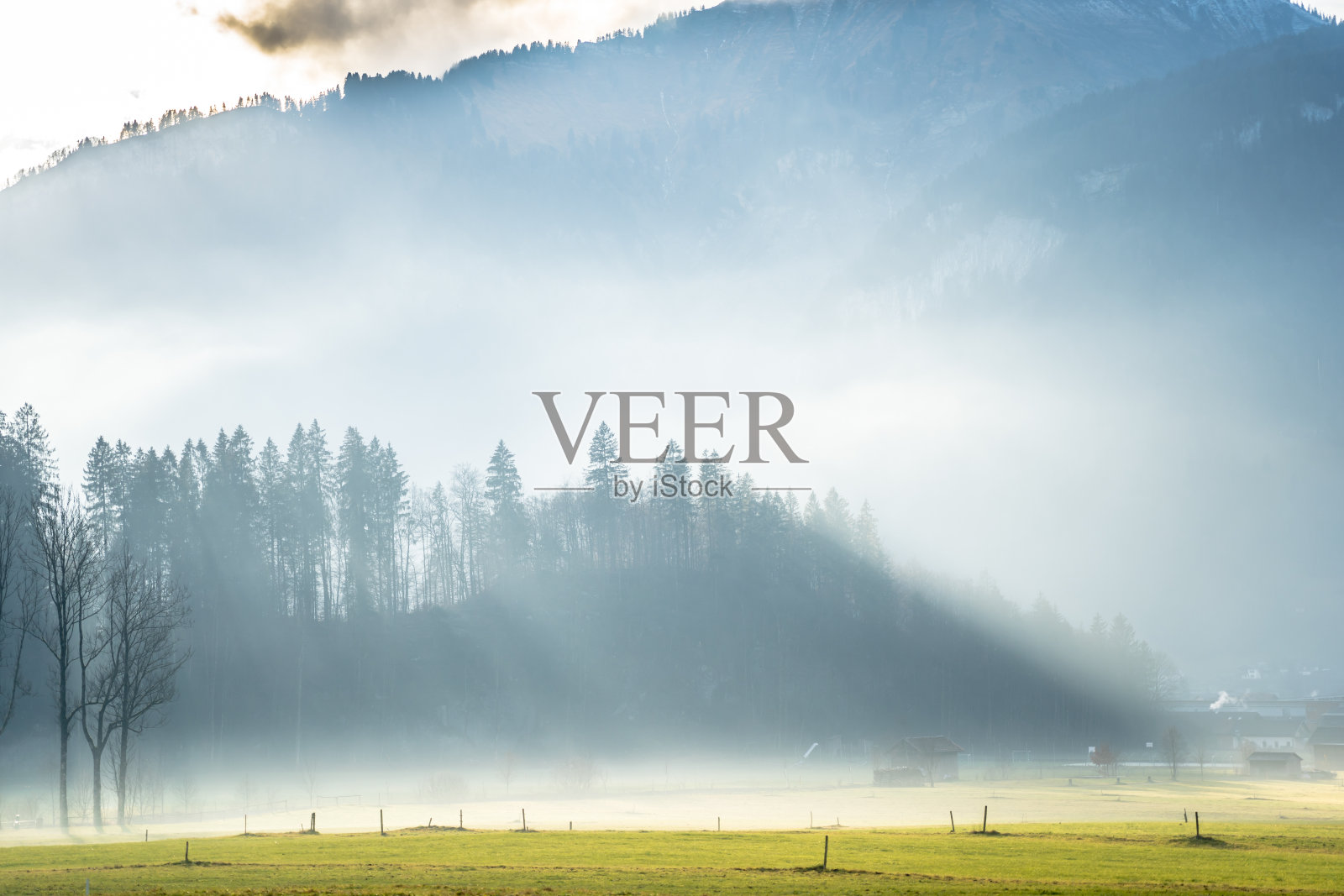 高山草甸的日出照片摄影图片