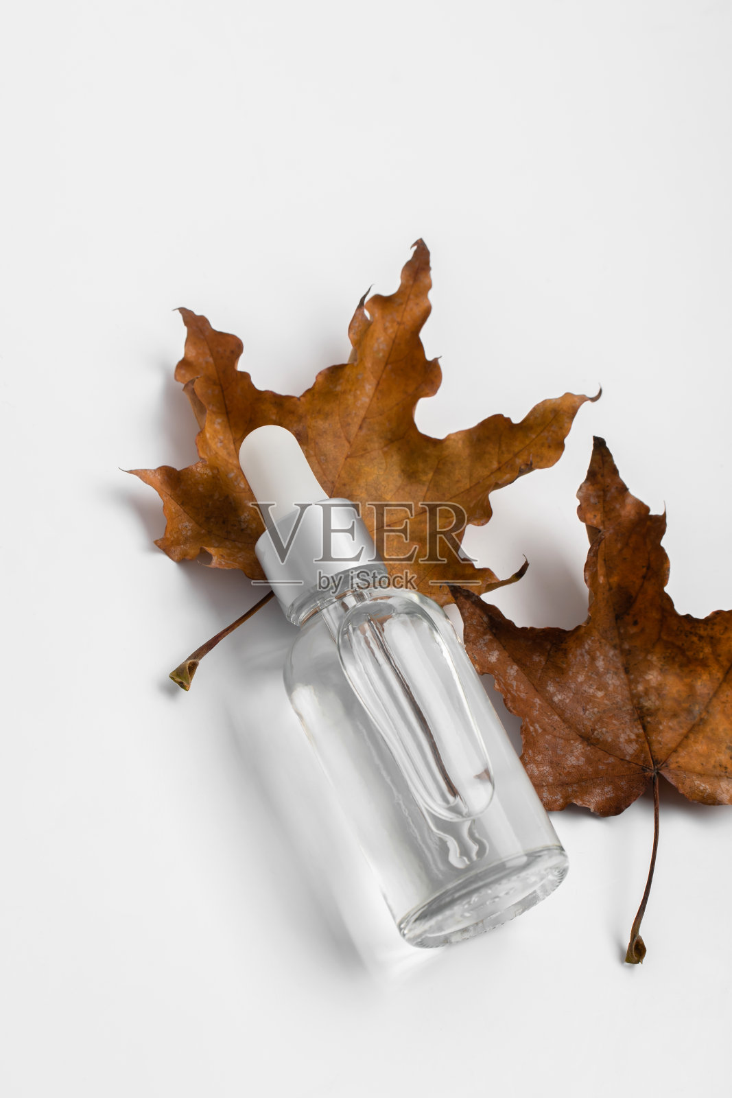 极简的组成与玻璃透明血清瓶与移液管皮肤护理在白色背景与棕色秋叶。健康美容理念。极简主义照片摄影图片