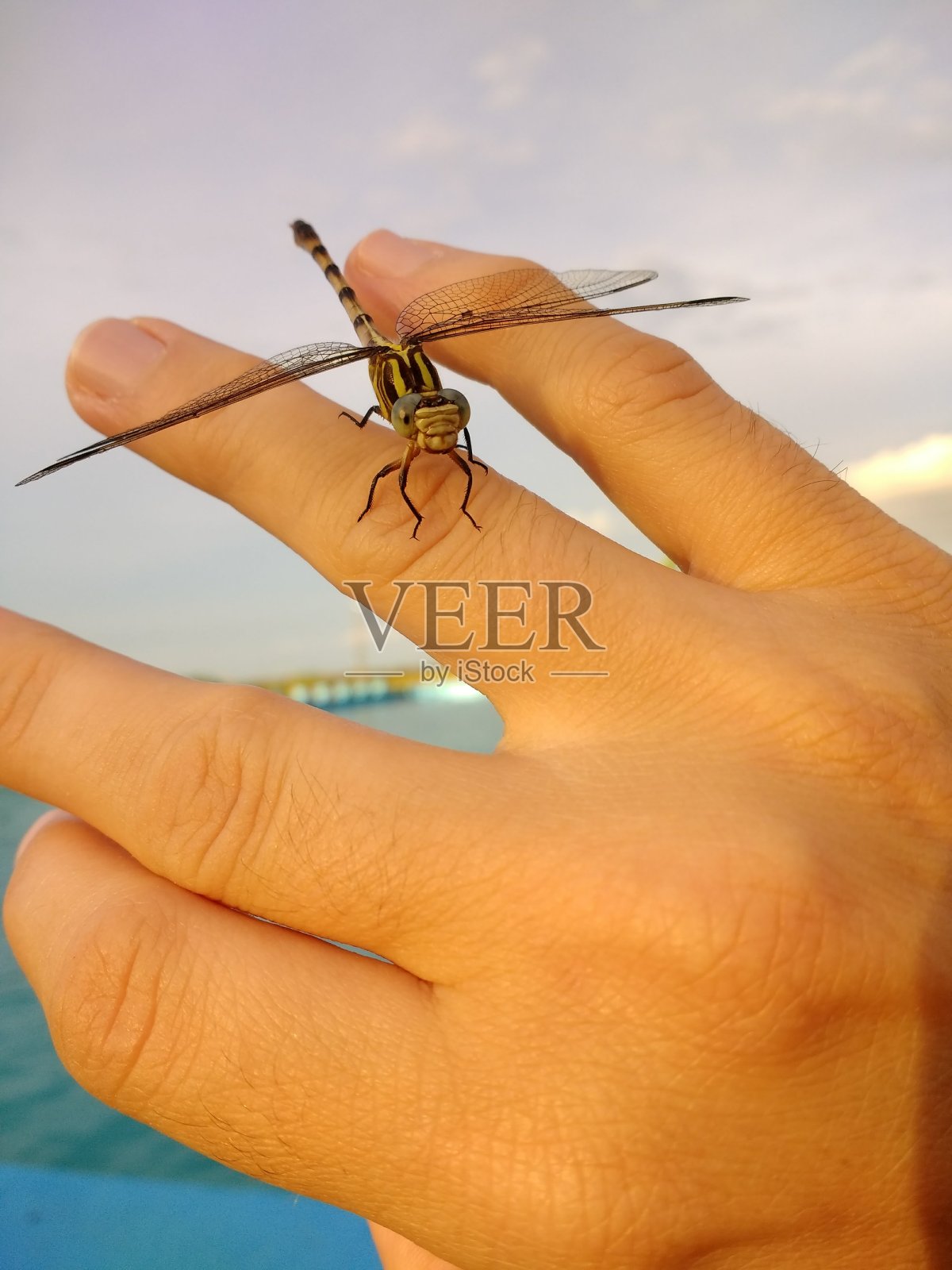 炎热的夏天在游泳池照片摄影图片