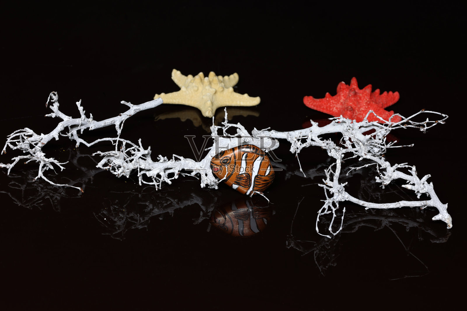 以水下世界为主题的作文照片摄影图片