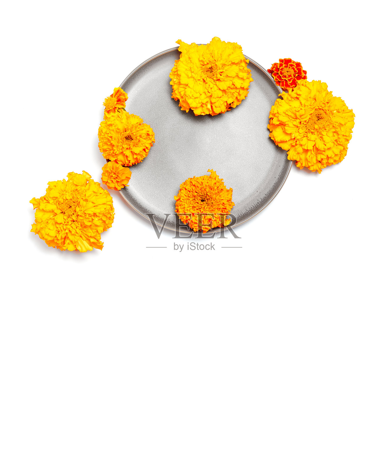 美丽的组成，花和盘子在一个白色的背景。秋天的花旗帜。平躺，俯视图照片摄影图片