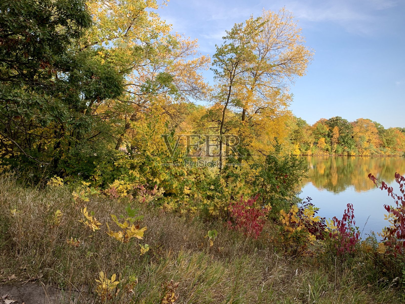 海岸线上的秋色照片摄影图片