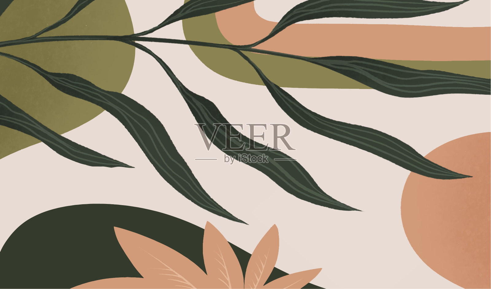 有机色彩的抽象艺术背景插画图片素材