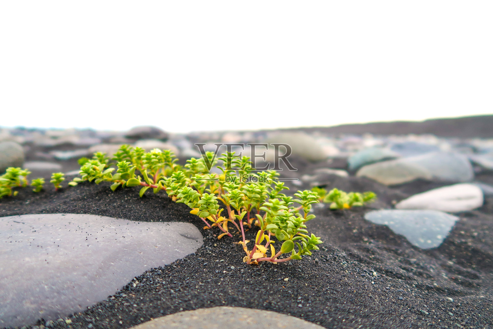 工厂2照片摄影图片
