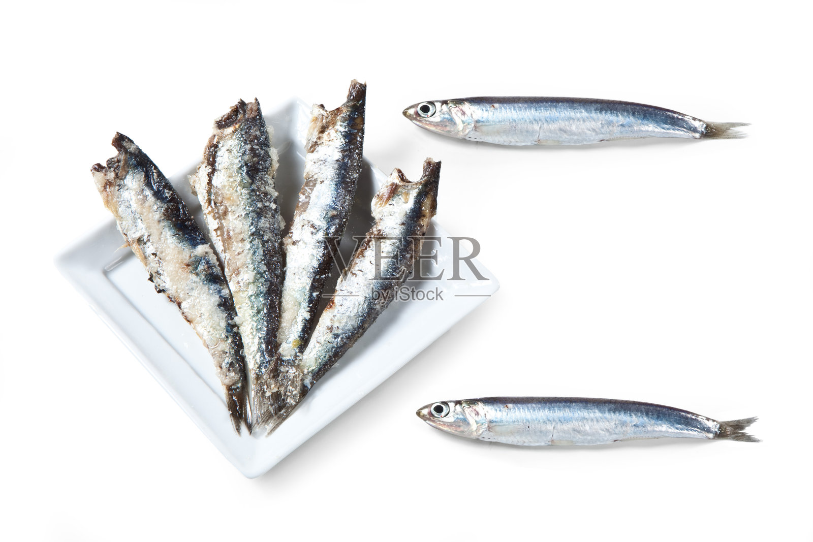 凤尾鱼-“凤尾鱼”地中海鱼-雄性凤尾鱼照片摄影图片