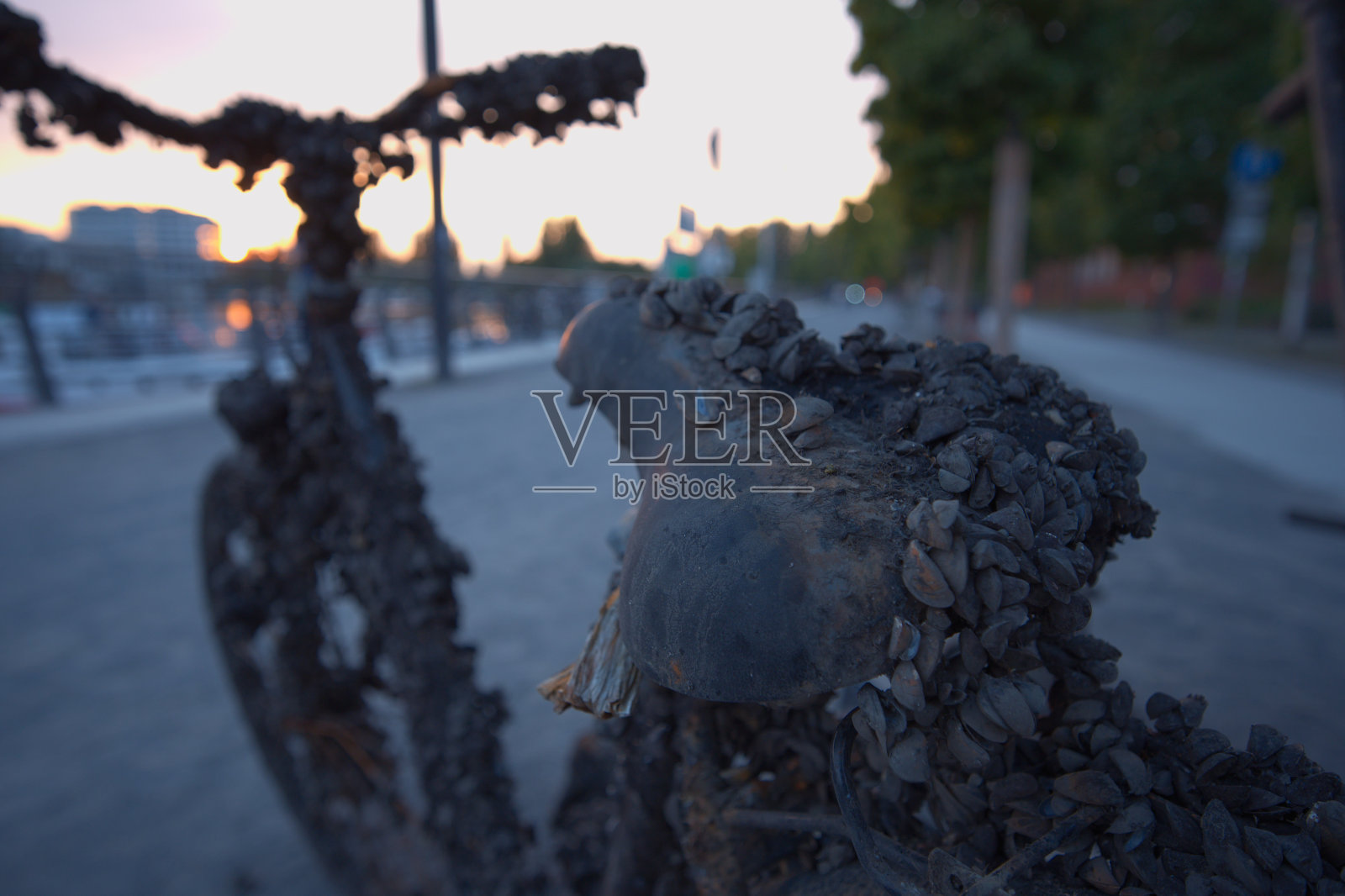 一辆盖着蛤蜊的旧自行车照片摄影图片