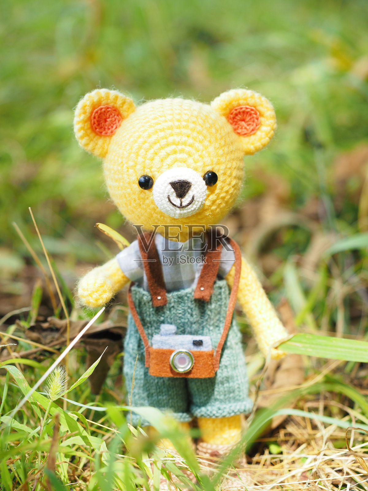 可爱的小动物。户外照片摄影图片