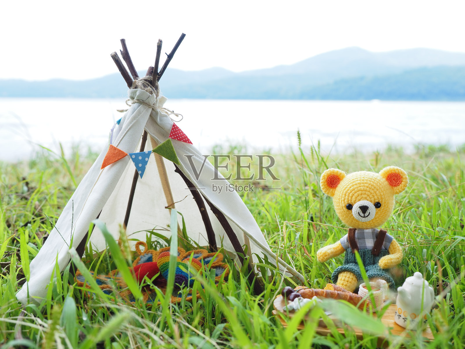 可爱的小动物。户外照片摄影图片