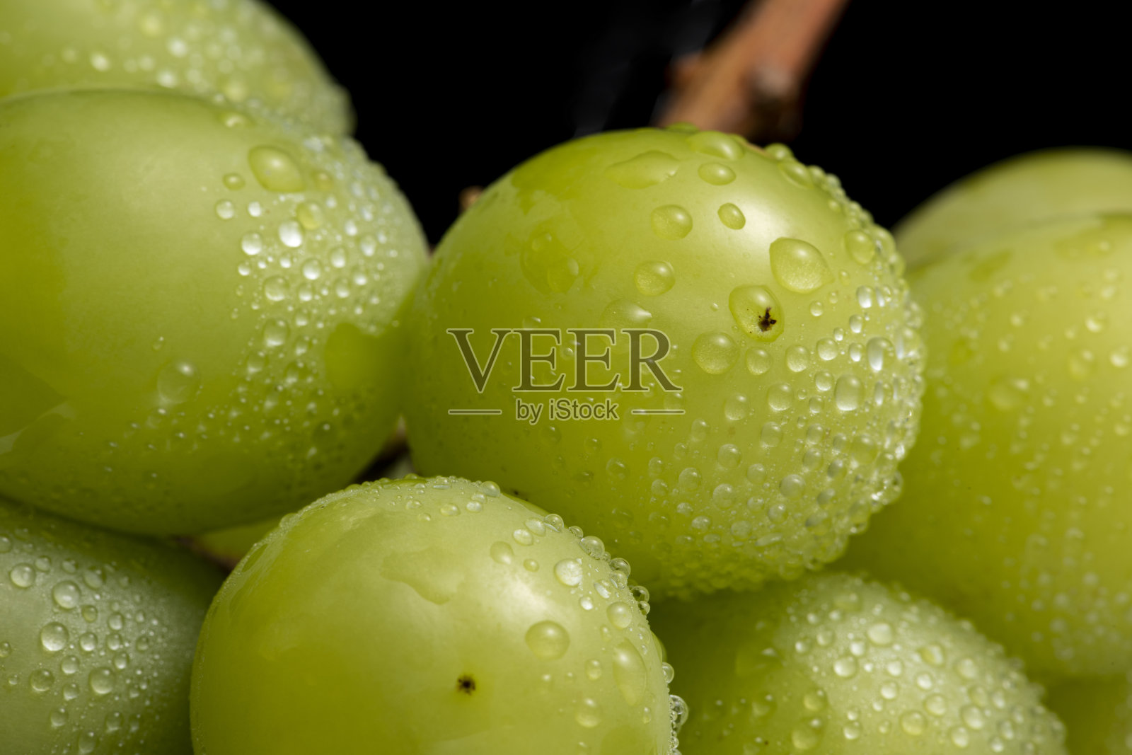 新鲜的麝香葡萄酒在一个简单的背景。特写镜头。照片摄影图片