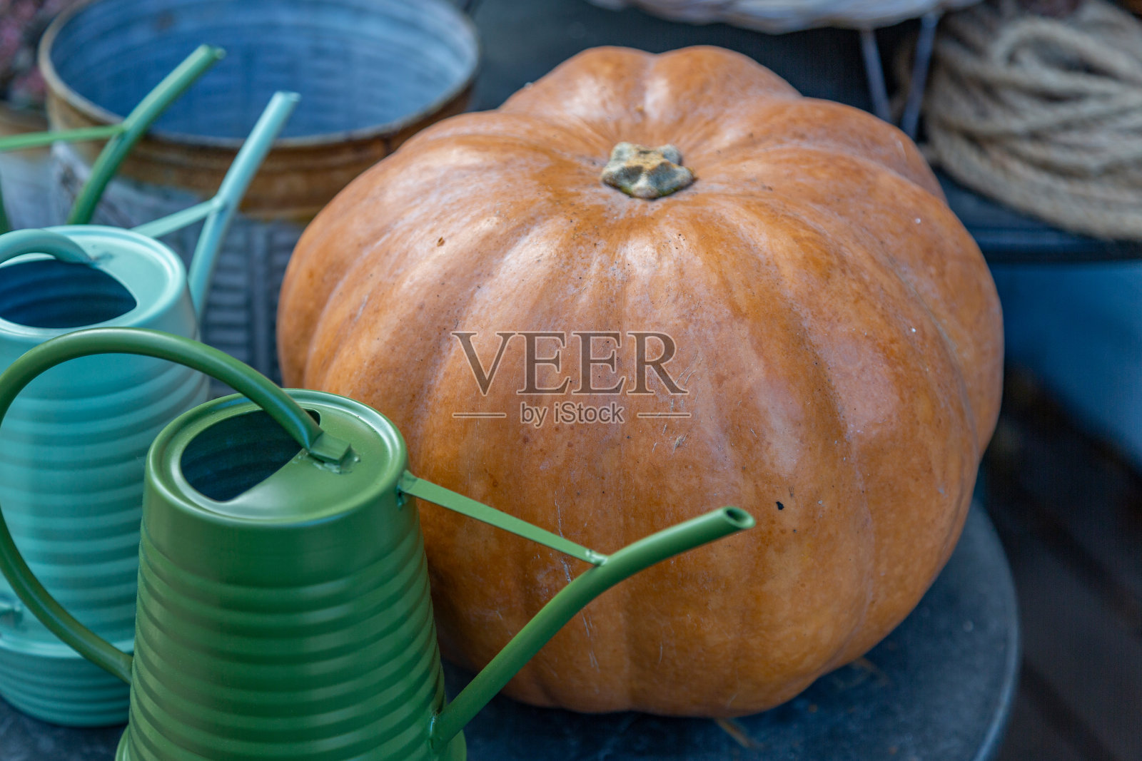 天然鲜秋南瓜果照片摄影图片