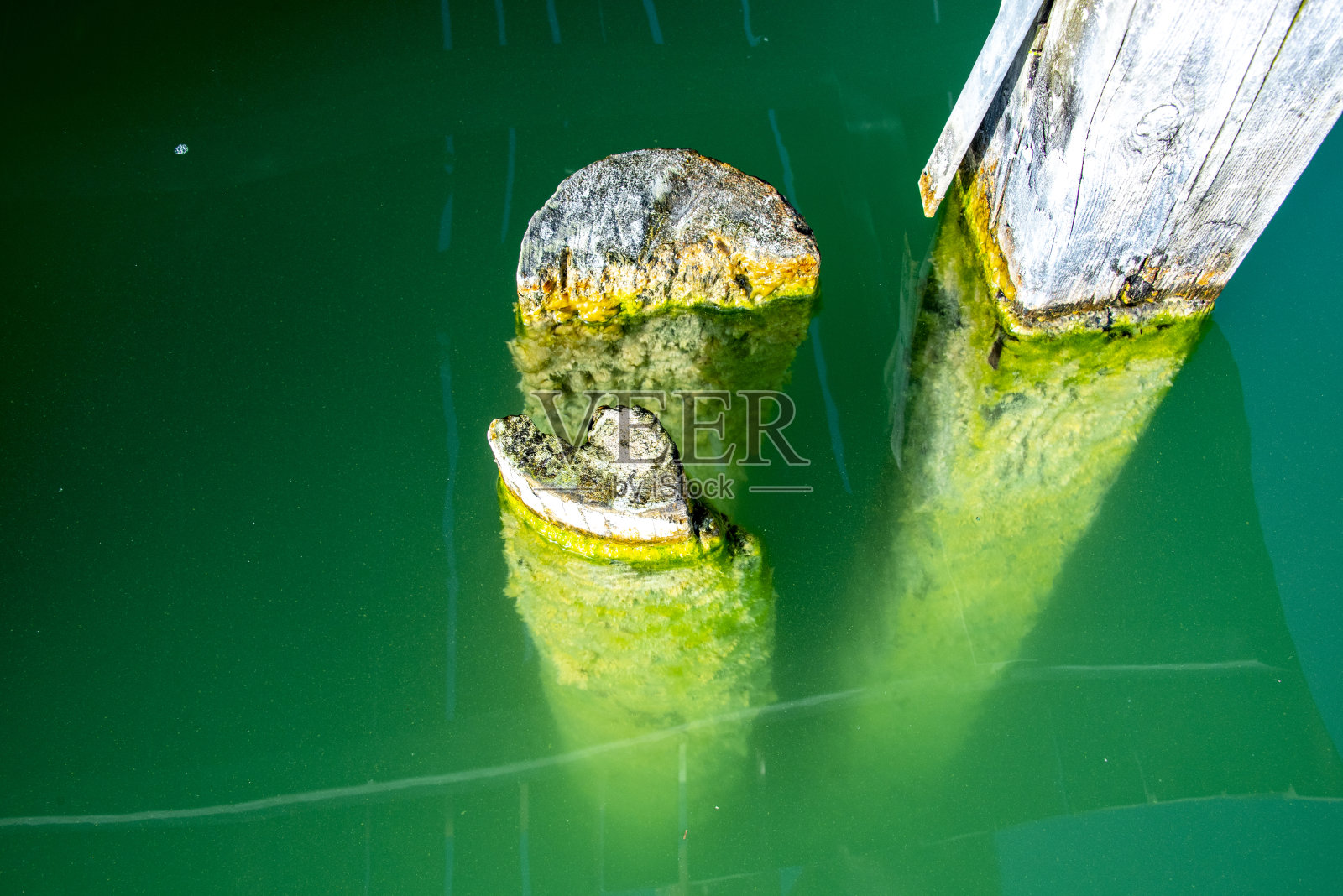 木杆和湖水照片摄影图片