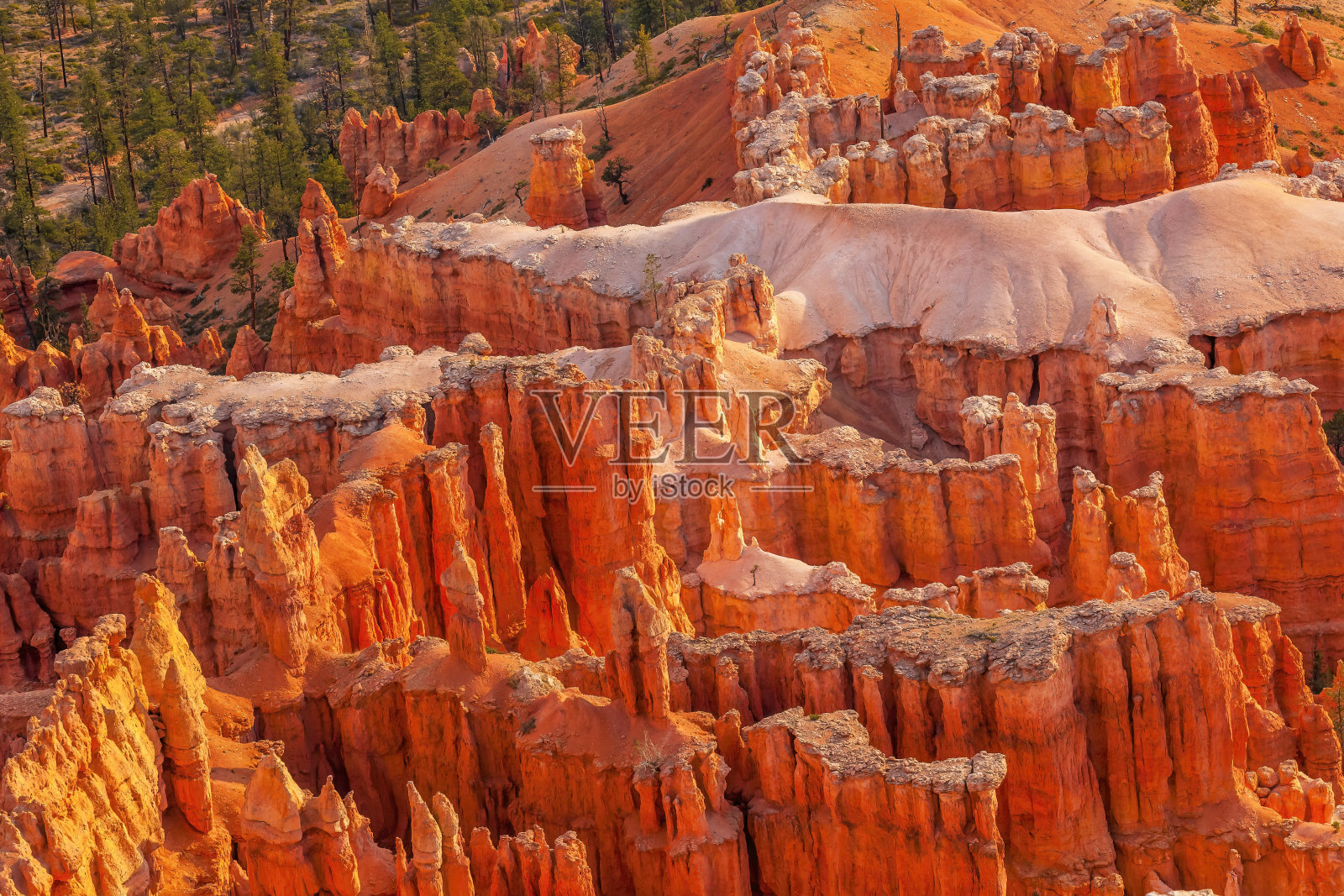 hoodoo Bryce Point Bryce Canyon国家公园犹他州照片摄影图片
