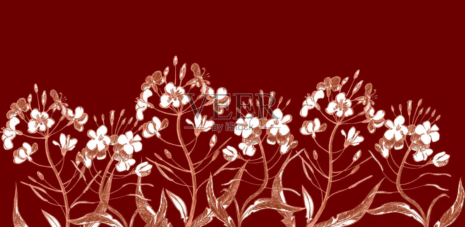 手绘复古风格的圆形花卉图案。花，叶和香草。植物插图。插画图片素材